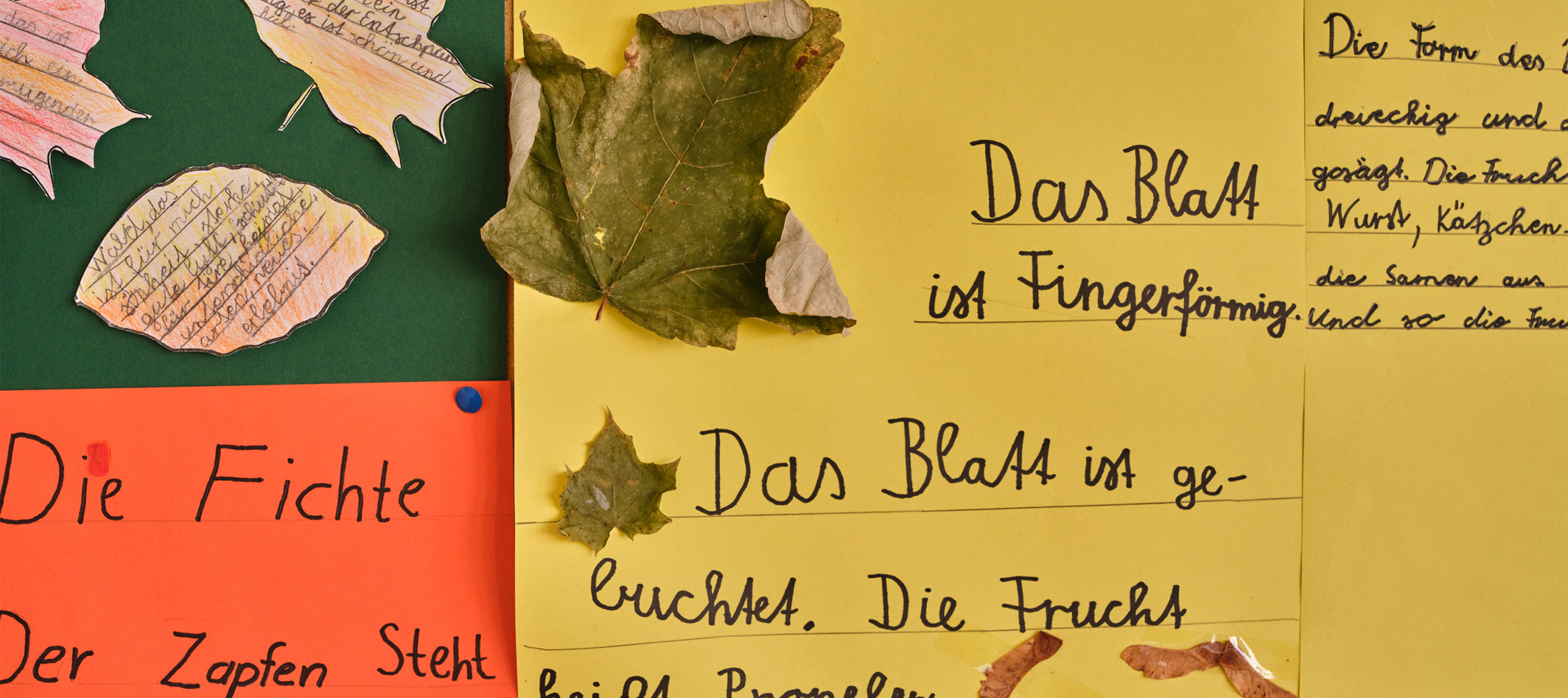 Grundschule Germannsdorf, Das Blatt, HSU